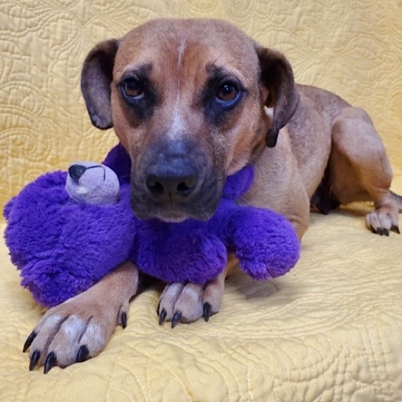 Posh Ambassador for Jane Iredale 🥰 - Picture 16 of 16